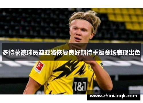 多特蒙德球员迪亚洛恢复良好期待重返赛场表现出色