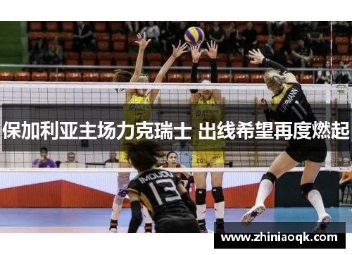 保加利亚主场力克瑞士 出线希望再度燃起