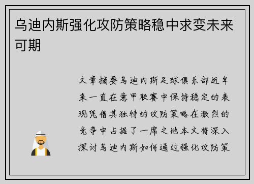 乌迪内斯强化攻防策略稳中求变未来可期
